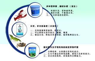 四月金磚水產(chǎn)盛會(huì) 先進(jìn)養(yǎng)殖設(shè)備與技術(shù)齊聚廈門(mén)