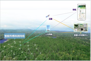 物聯網 技術研發與行業應用的雙輪驅動